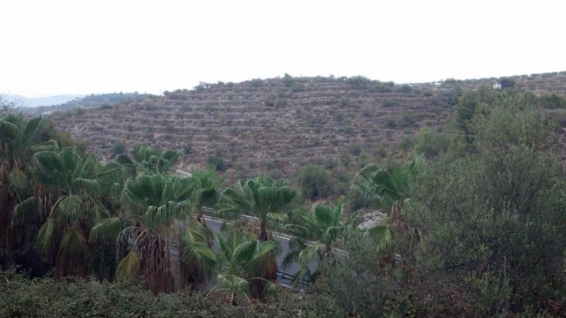 Terrain à vendre dans Gandia, Vizcaya