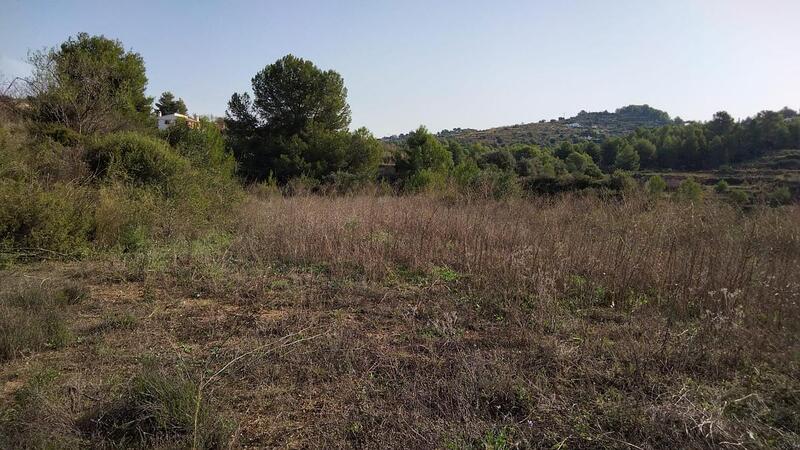 Land for sale