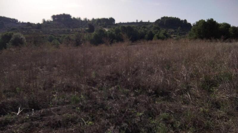 Land for sale