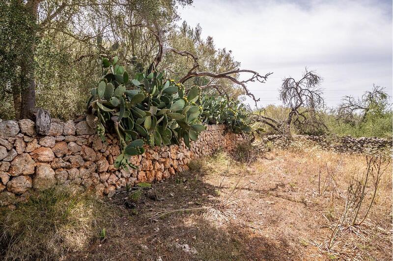 Casa de Campo en venta