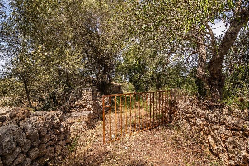 Auberge à vendre