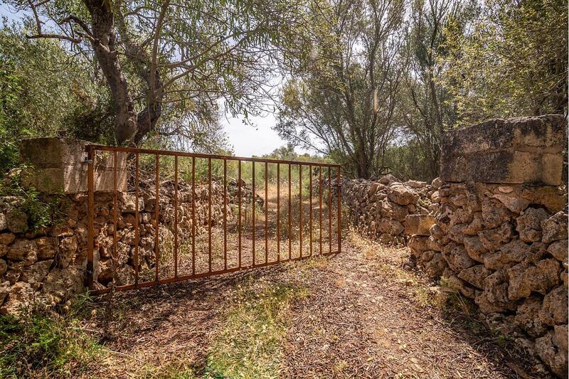 Auberge à vendre