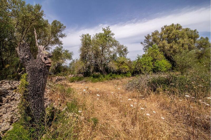 Casa de Campo en venta