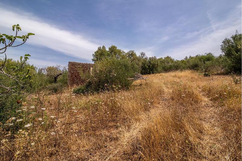 Casa de Campo en venta