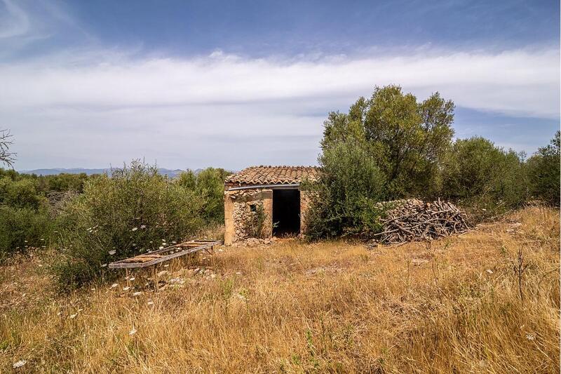 Casa de Campo en venta