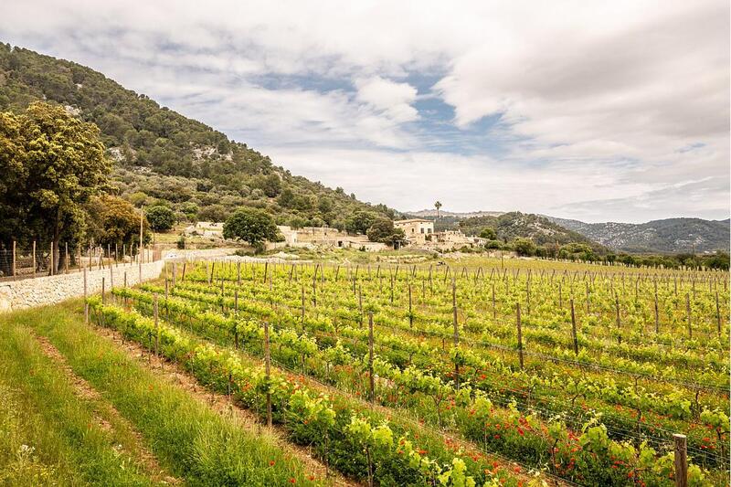 Деревенский Дом продается в Campanet, Mallorca