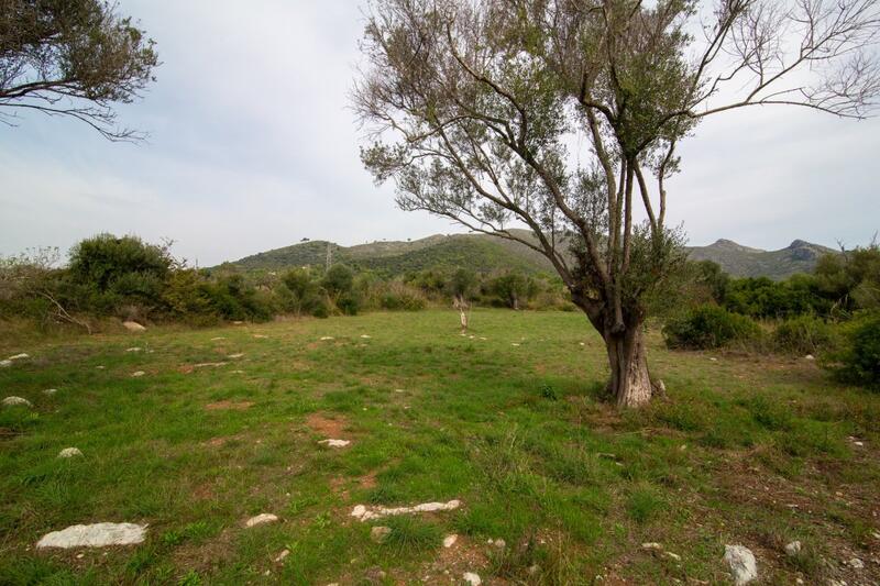 Land for sale