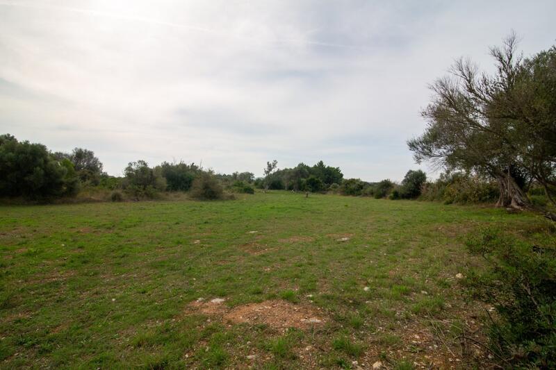 Land for sale