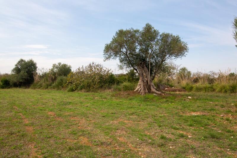 Casa de Campo en venta