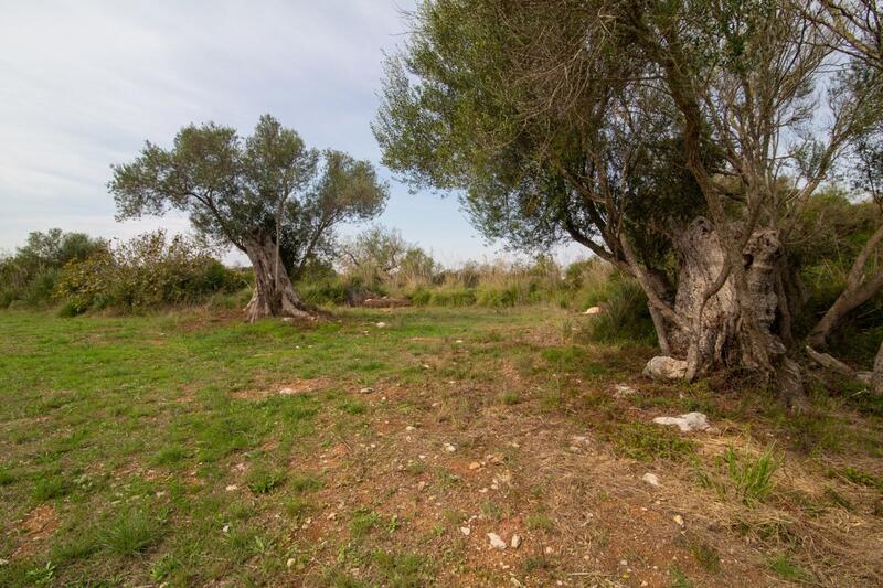 Auberge à vendre