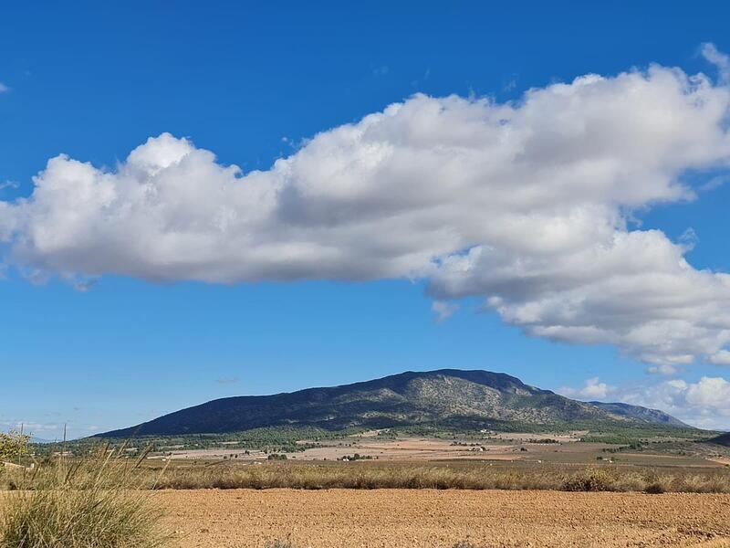 Terrenos en venta