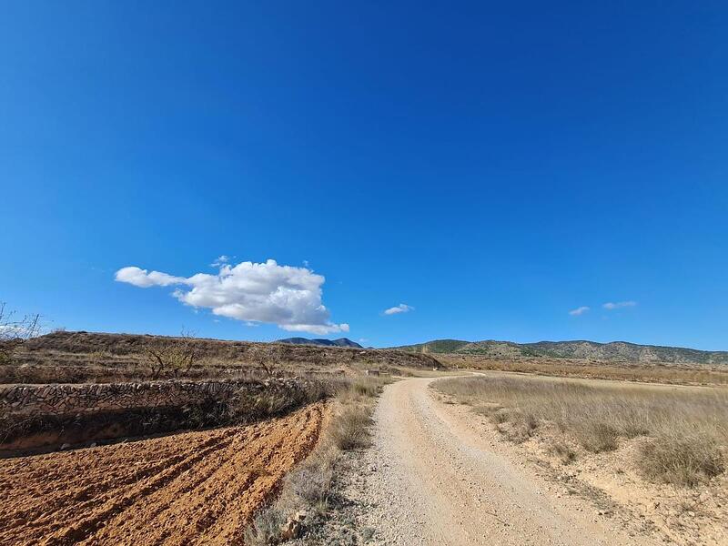 Terrenos en venta