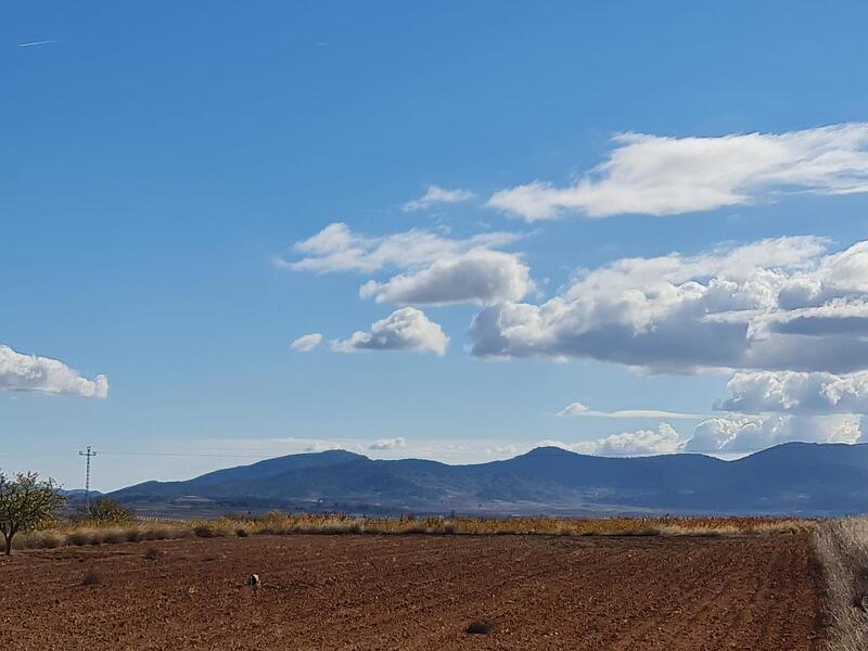 Terrenos en venta