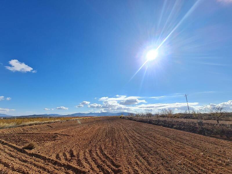 Terrenos en venta