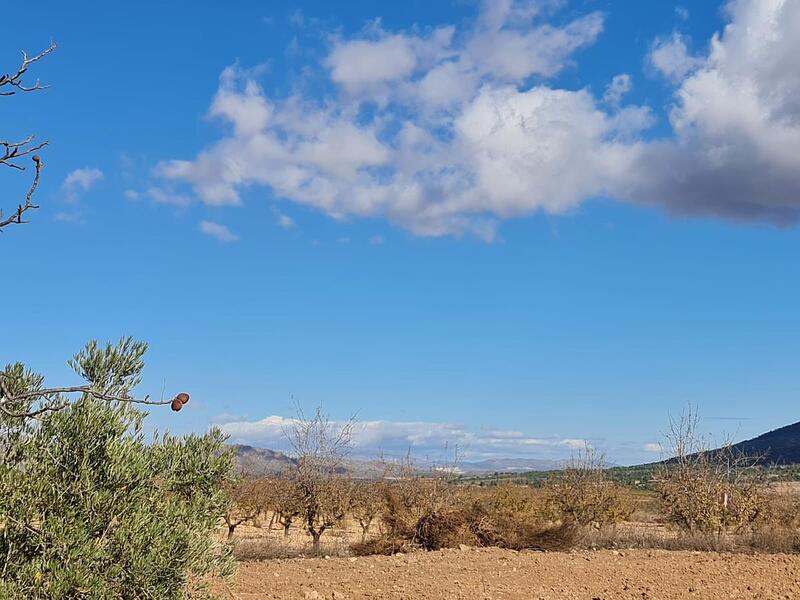 Terrenos en venta