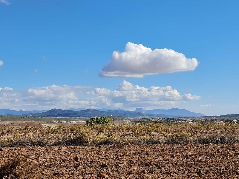 Terrain à vendre