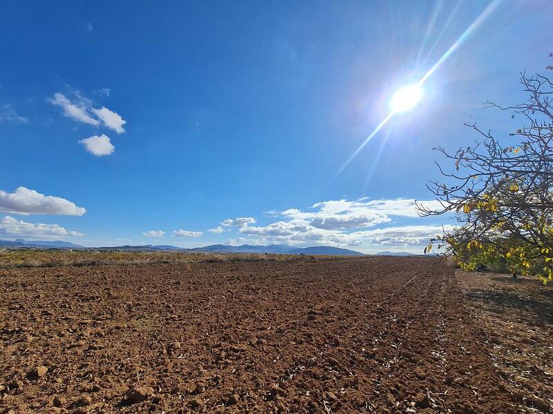 Terrenos en venta