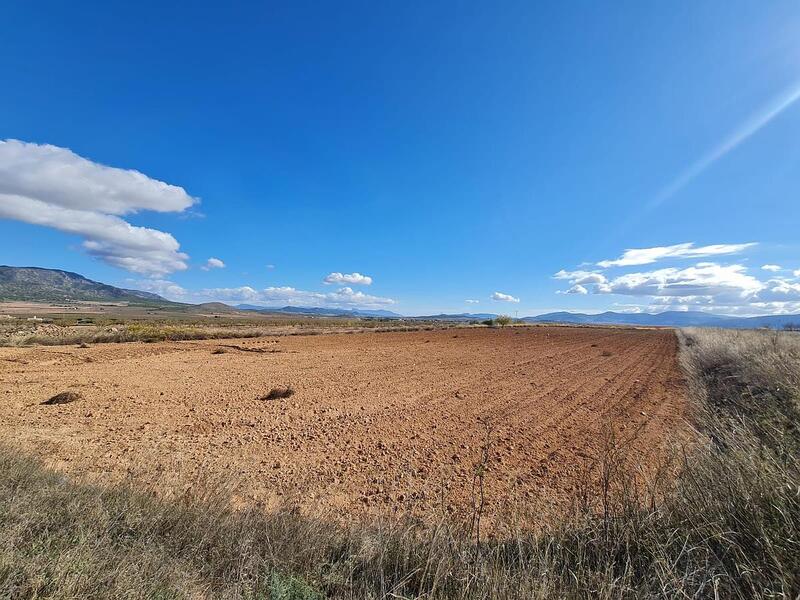 Terrenos en venta en Yecla, Murcia