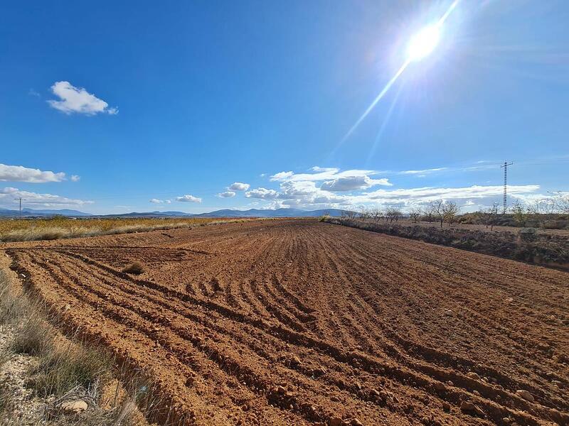 Terrenos en venta