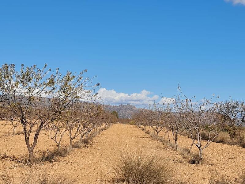 Terrenos en venta