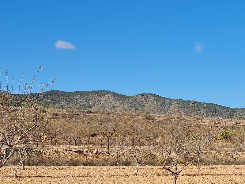 Terrenos en venta