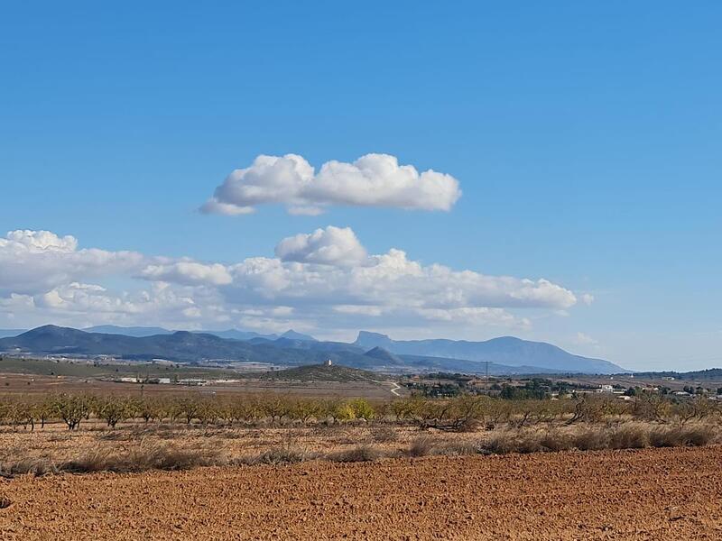 Terrain à vendre