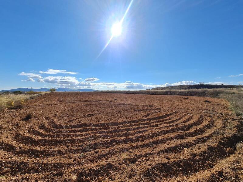 Terrenos en venta