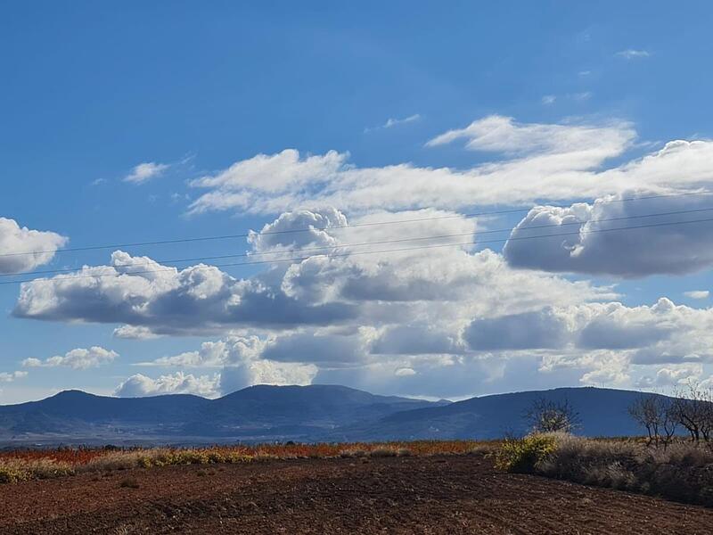 Terrain à vendre