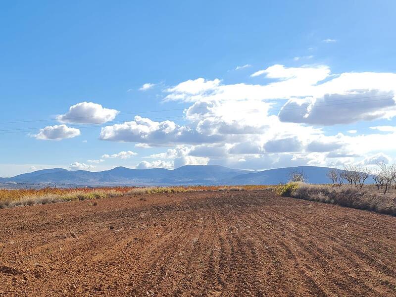 Terrenos en venta