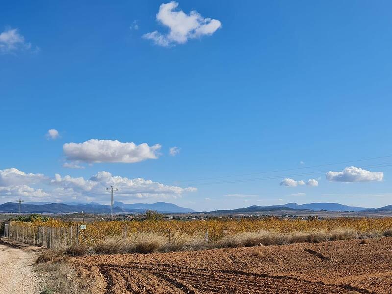 Terrenos en venta