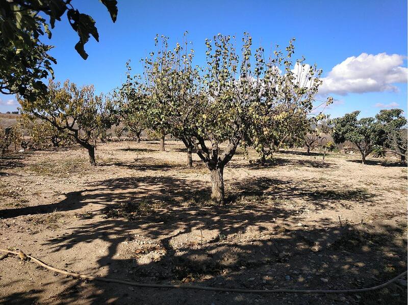 6 slaapkamer Gezinswoning Te koop