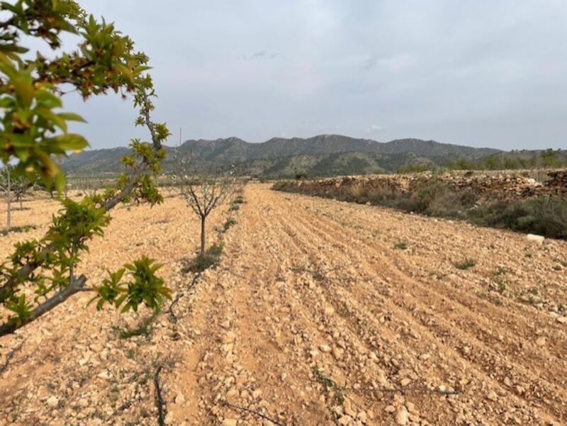 Terrenos en venta