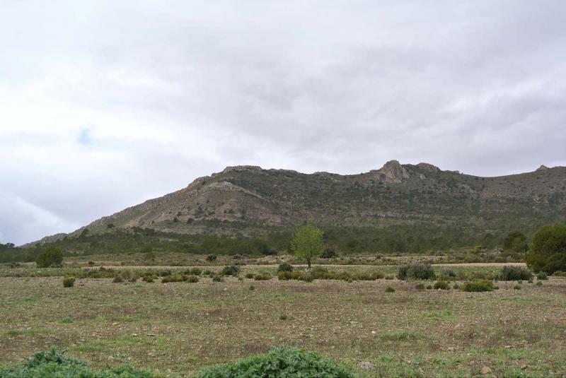 Terrain à vendre