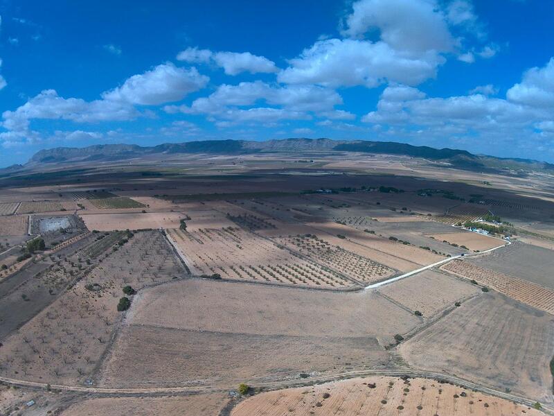 Terrain à vendre dans Yecla, Murcia