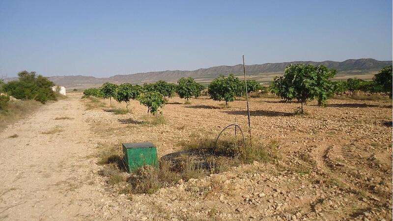 Terrenos en venta