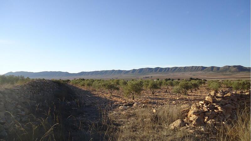 Terrenos en venta