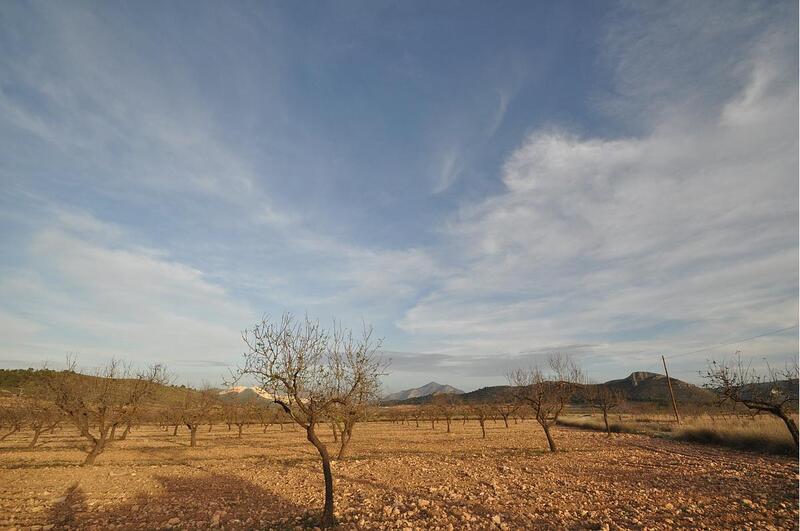 Terrain à vendre