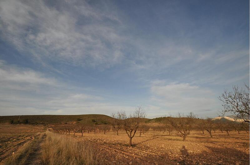 Terrain à vendre