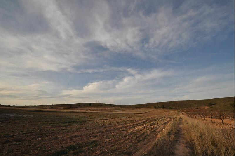 Terrain à vendre