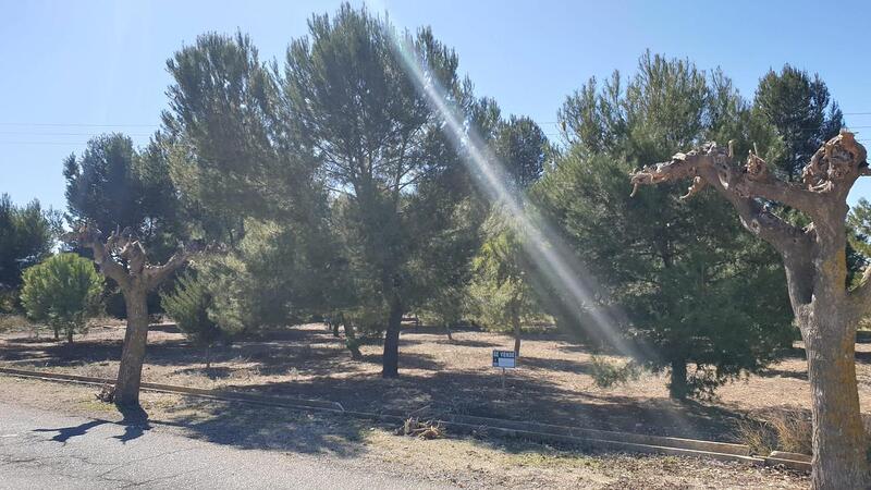 Land for sale in Beneixama, Alicante