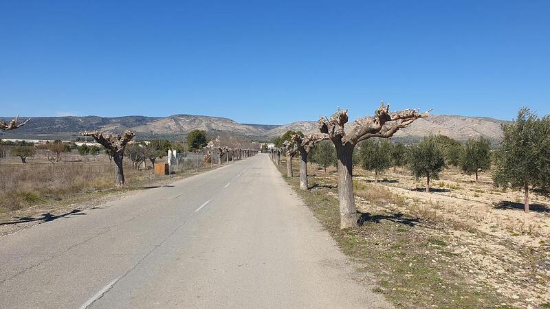 Terrenos en venta