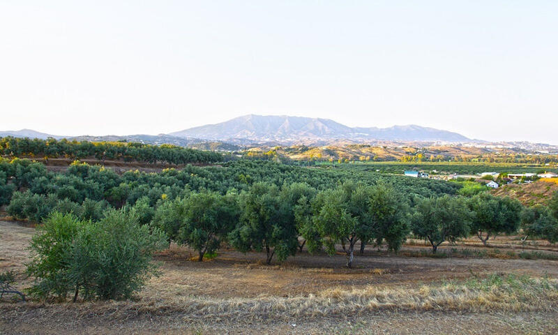 Terrenos en venta