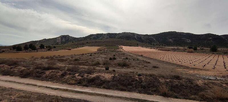 Land for sale in Villena, Alicante