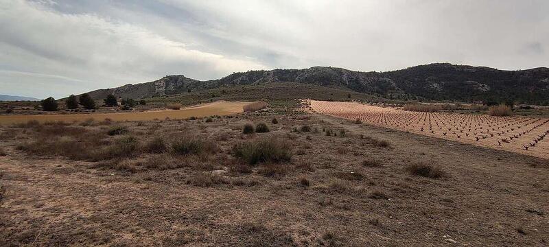 Terrenos en venta