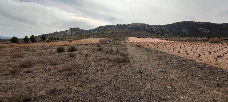 Terrenos en venta