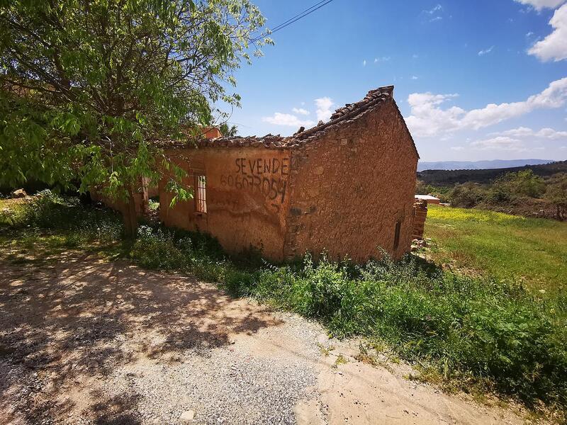 Terrenos en venta