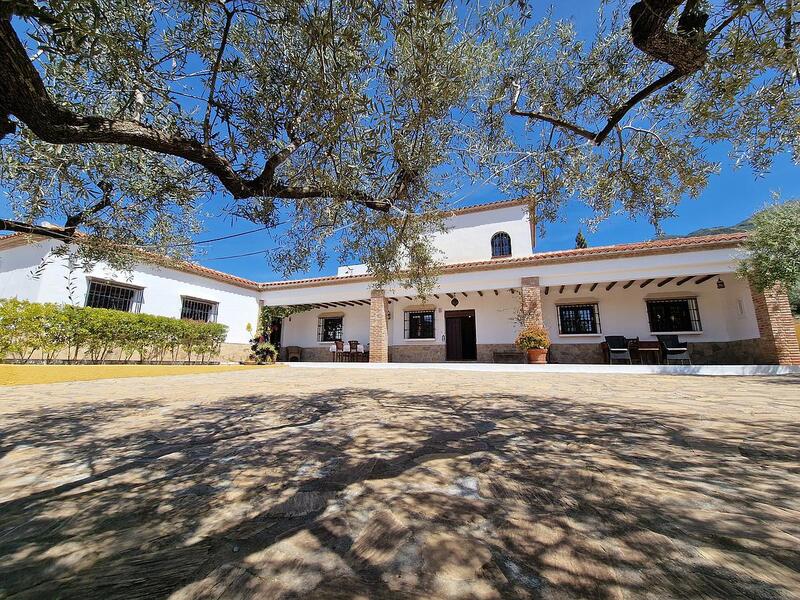 Villa for sale in Alcaucin, Málaga