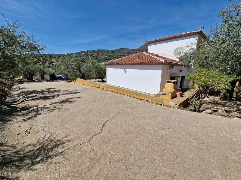 4 Cuarto Villa en venta