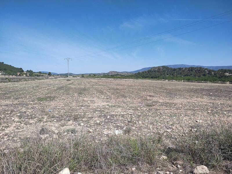 Land for sale in Pinoso, Alicante