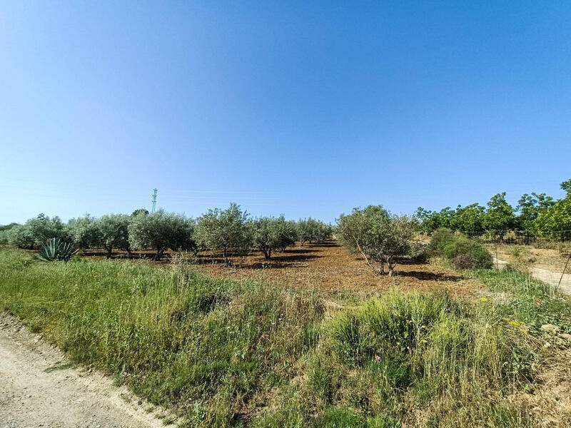 Landhaus zu verkaufen in Coin, Málaga